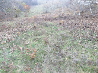 VT 100743 - Land urban for construction for sale in Dezmir