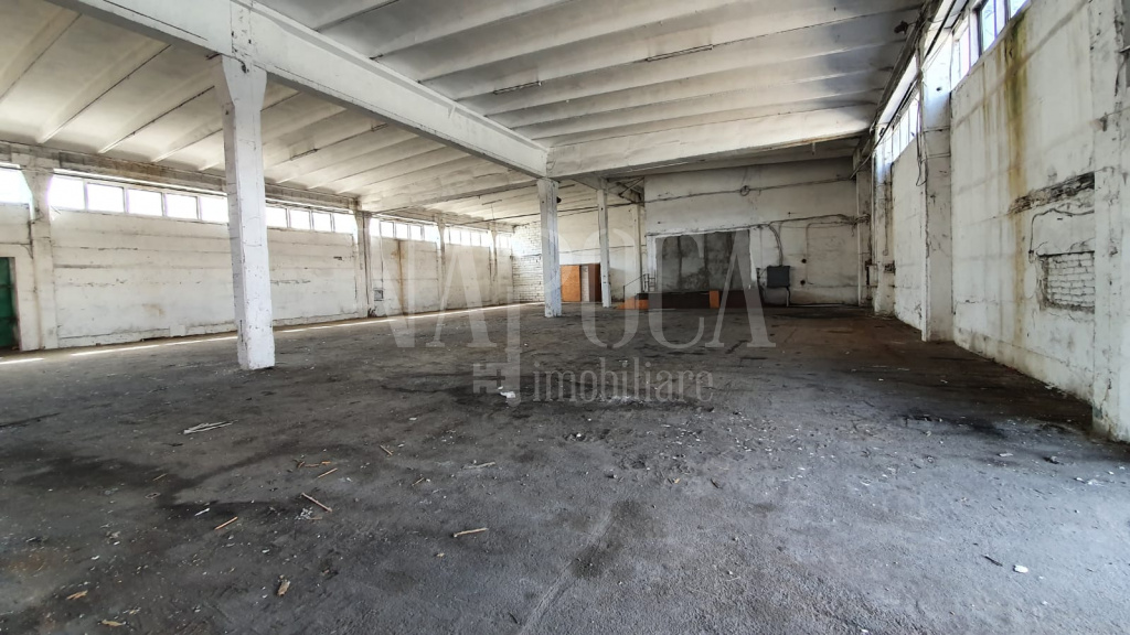ISPI 105830 - Industrial space for rent in Dambul Rotund, Cluj Napoca