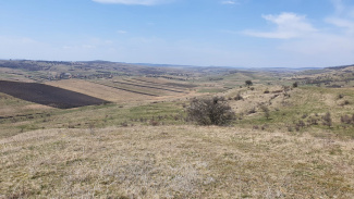 VT 105223 - Teren extravilan agricol de vanzare in Chinteni