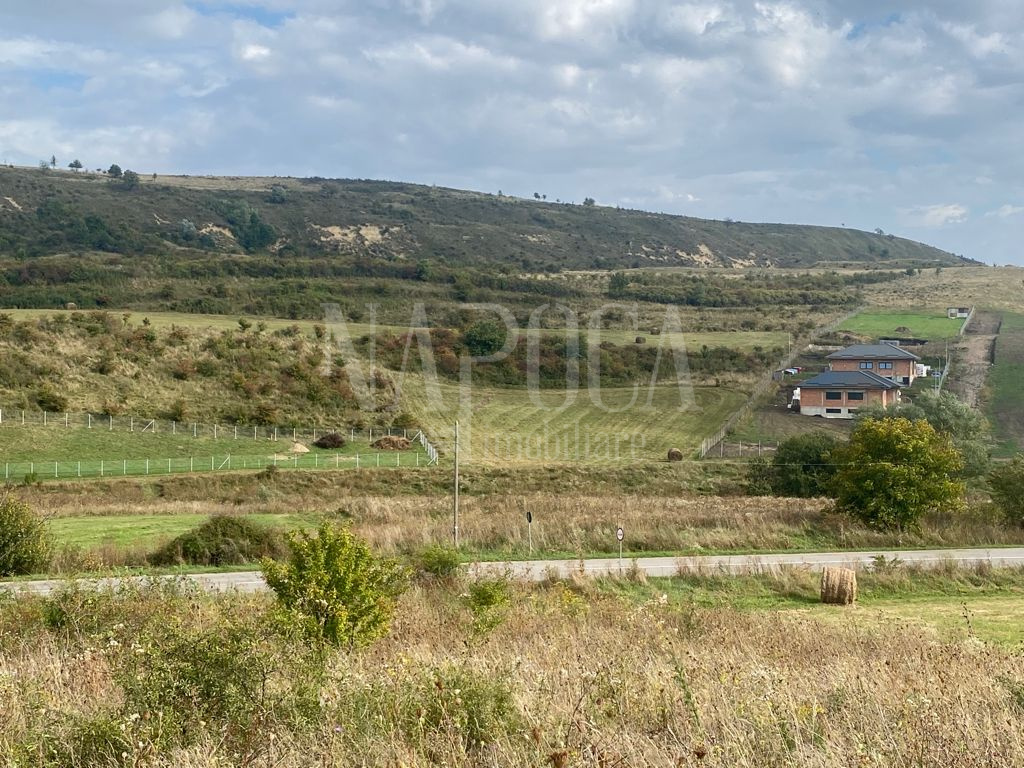 VT 109456 - Land urban agricultural for sale in Chinteni