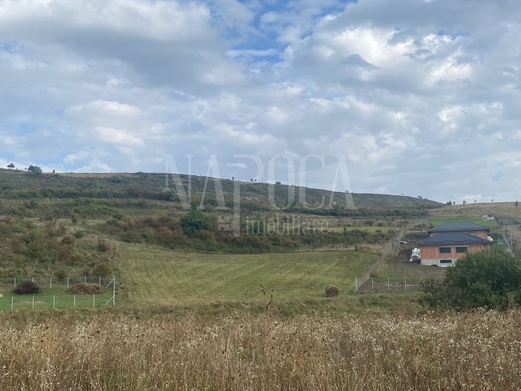 VT 109456 - Land urban agricultural for sale in Chinteni