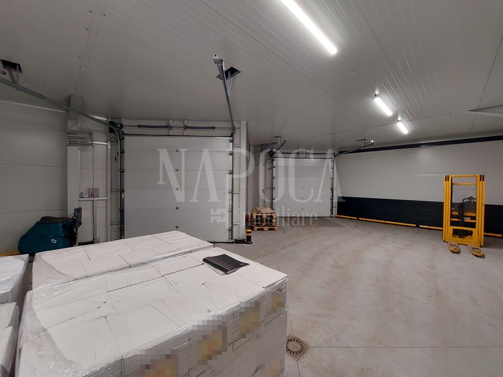 ISPI 109466 - Industrial space for rent in Iris, Cluj Napoca