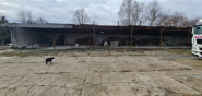 ISPI 115322 - Industrial space for rent in Baciu