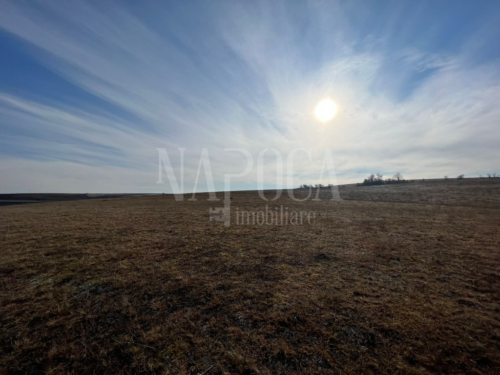 VT 116116 - Teren intravilan pentru constructii de vanzare in Jucu de Sus