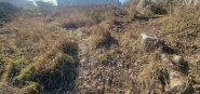 VT 131284 - Land urban for construction for sale in Iris, Cluj Napoca