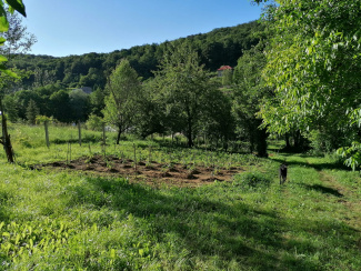 VT 131289 - Land urban for construction for sale in Feleacu