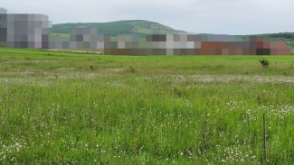 VT 133846 - Teren intravilan pentru constructii de vanzare in Baile Felix