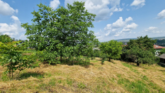 VT 135073 - Teren intravilan pentru constructii de vanzare in Zorilor, Cluj Napoca