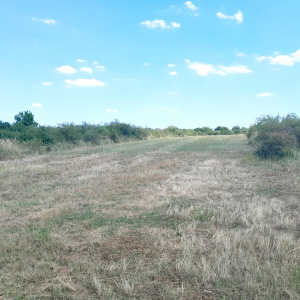 VT 135285 - Teren extravilan agricol de vanzare in Episcopia Bihor Oradea, Oradea