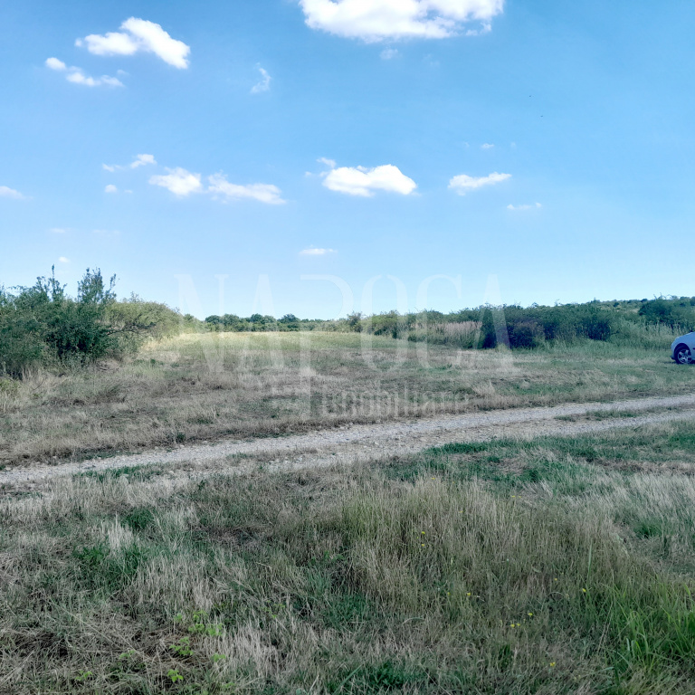 VT 135285 - Land unincorporated agricultural for sale in Episcopia Bihor Oradea, Oradea