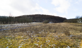 VT 140344 - Teren extravilan pentru constructii de vanzare in Popesti