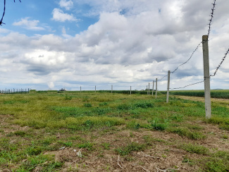 VT 143249 - Teren intravilan pentru constructii de vanzare in Balcesu Oradea, Oradea