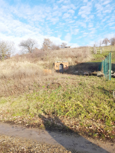 VT 143975 - Teren intravilan pentru constructii de vanzare in Saldabagiu de Munte