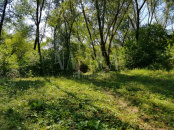 VT 150828 - Teren intravilan pentru constructii de vanzare in Podgoria Oradea, Oradea