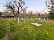 VC7 152476 - House 7 rooms for sale in Paulesti, Satu Mare