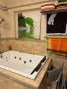 VC4 153099 - Casa 4 camere de vanzare in Centru, Oradea