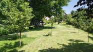 VC6 153523 - House 6 rooms for sale in Gruia, Cluj Napoca
