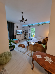 IA1 153655 - Apartment one rooms for rent in Gruia, Cluj Napoca