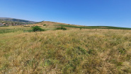 VT 154412 - Teren extravilan agricol de vanzare in Apahida