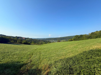 VT 155073 - Teren extravilan agricol de vanzare in Popesti
