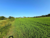 VT 155073 - Teren extravilan agricol de vanzare in Popesti