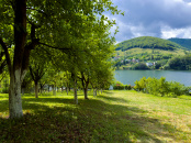 VT 155376 - Land urban for construction for sale in Somesul Cald, Someșu Cald