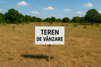 VT 155781 - Teren intravilan pentru constructii de vanzare in Salicea
