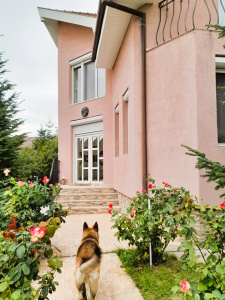 VC3 156340 - Casa 3 camere de vanzare in Podgoria Oradea, Oradea