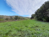 VT 156374 - Teren intravilan agricol de vanzare in Betfia Bihor