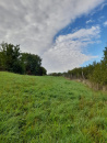 VT 156374 - Teren intravilan agricol de vanzare in Betfia Bihor