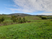 VT 156374 - Teren intravilan agricol de vanzare in Betfia Bihor