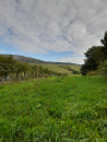 VT 156374 - Teren intravilan agricol de vanzare in Betfia Bihor