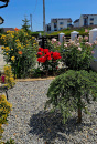 IC5 156440 - Casa 5 camere de inchiriat in Saldabagiu de Munte