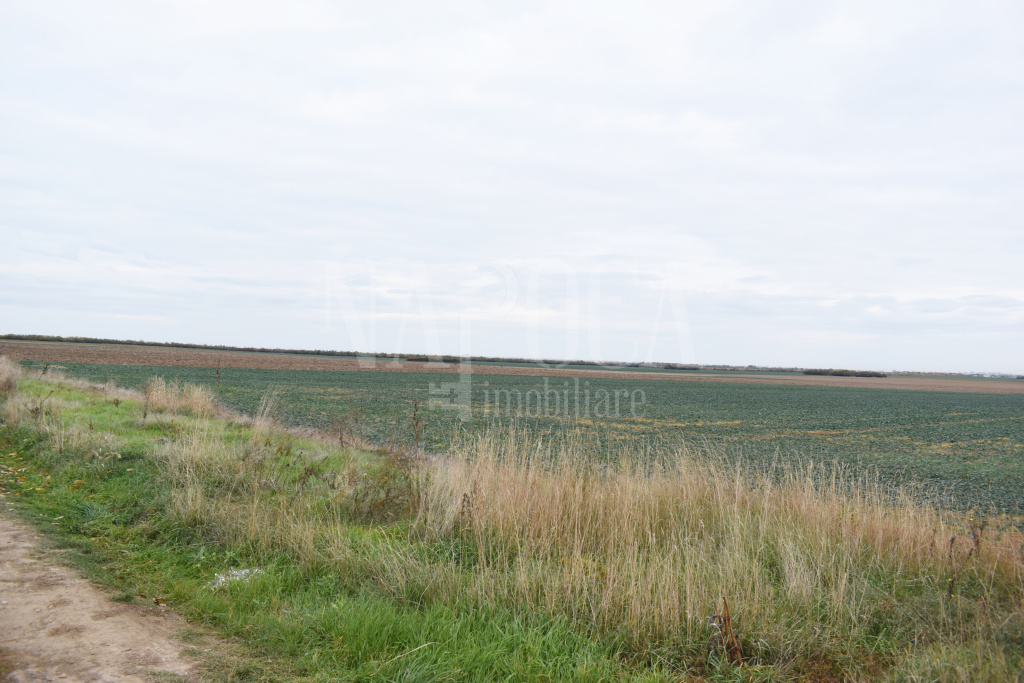 VT 156777 - Teren intravilan industrial de vanzare in Calea Aradului Oradea, Oradea