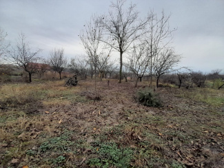 VT 157321 - Land urban for construction for sale in Paleu