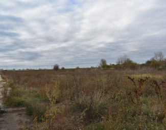 VT 157396 - Teren intravilan industrial de vanzare in Zona Industriala Vest Oradea, Oradea