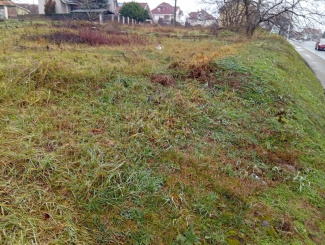 VT 158222 - Teren intravilan pentru constructii de vanzare in Sanmartin