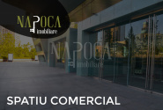 ISC 158451 - Spatiu comercial de inchiriat in Dambul Rotund, Cluj Napoca