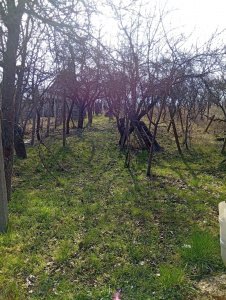 VT 159061 - Land urban for construction for sale in Gheorghe Doja Oradea, Oradea