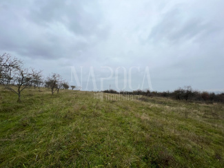 VT 159144 - Teren intravilan pentru constructii de vanzare in Feleacu