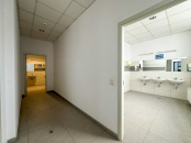 ISPB 161494 - Office for rent in Marasti, Cluj Napoca