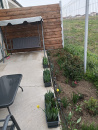 VC3 162484 - Casa 3 camere de vanzare in Nojorid