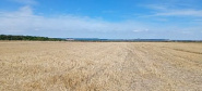 VT 163242 - Teren intravilan pentru constructii de vanzare in Alparea