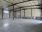 VSPI 163246 - Industrial space for sale in Campenesti