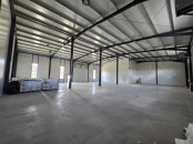 VSPI 163246 - Industrial space for sale in Campenesti