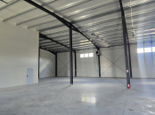 VSPI 163246 - Industrial space for sale in Campenesti