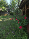 VC3 163636 - House 3 rooms for sale in Valea Mare de Codru