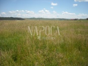 VT 27882 - Land urban industrial for sale in Jucu de Sus