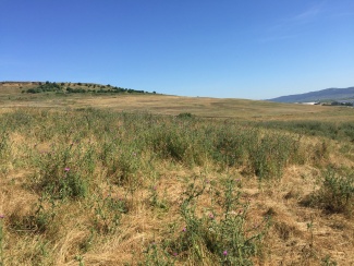 VT 46873 - Teren extravilan agricol de vanzare in Jucu