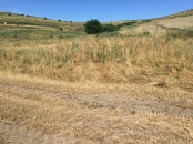 VT 46873 - Land unincorporated agricultural for sale in Jucu